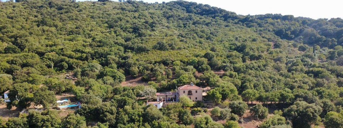 Estate in Pollina, Sicily, Italy 5 - 17801179