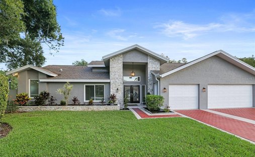 Casa en Palm Harbor, Florida, Estados Unidos 1
