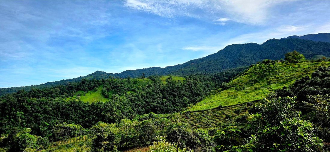 Finca in Guayabal, Chiriquí Province, Panama 1 - 17802376