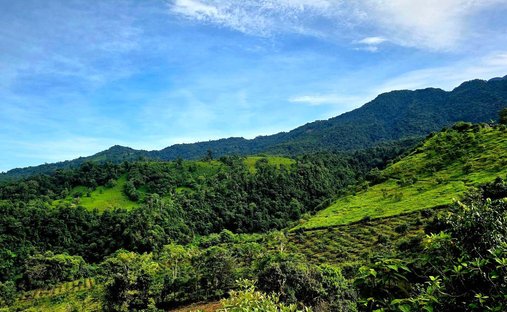 Finca in Guayabal, Chiriquí Province, Panama 1