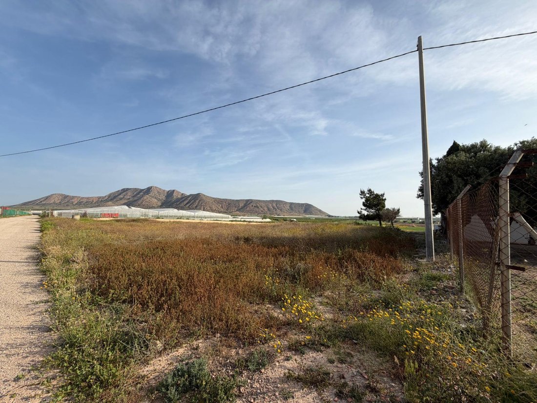 Land in Torre Pacheco, Región de Murcia, Spain 3 - 17802492