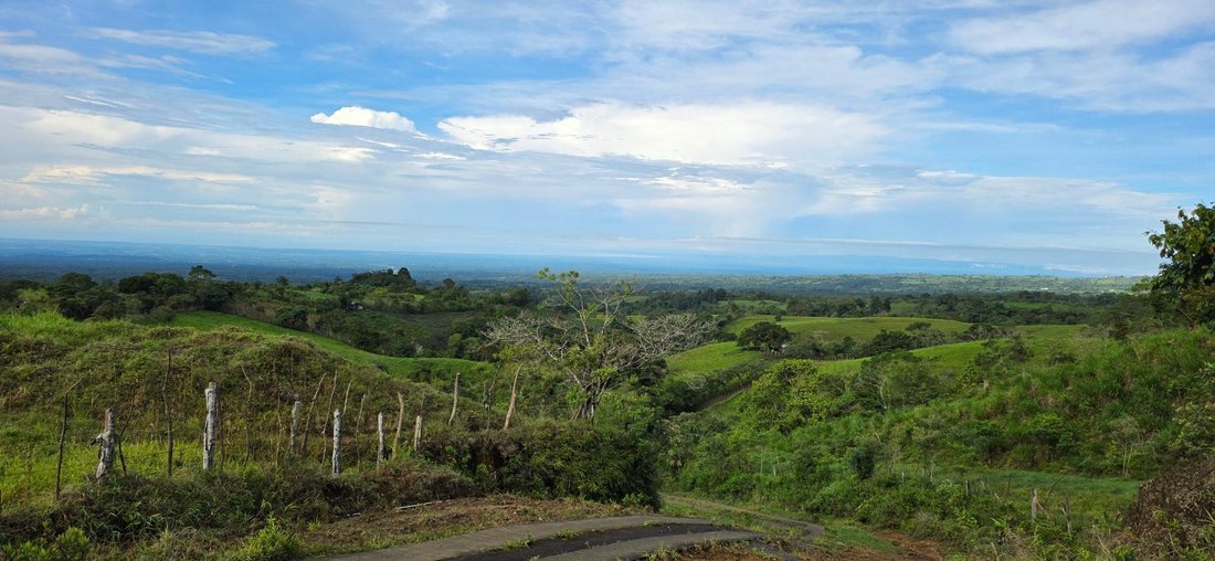 Finca in Guayabal, Chiriquí Province, Panama 2 - 17802376