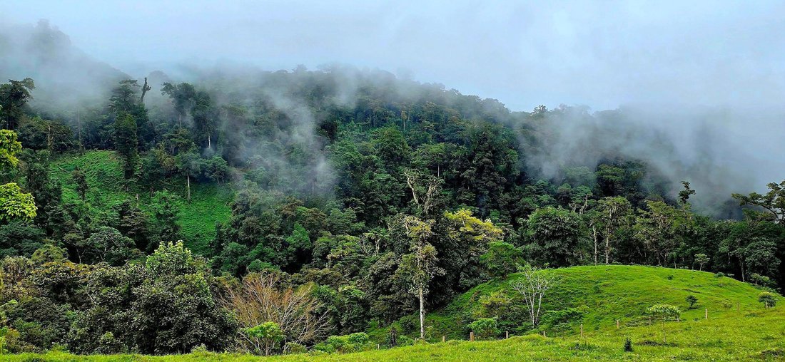 Finca in Guayabal, Chiriquí Province, Panama 5 - 17802376
