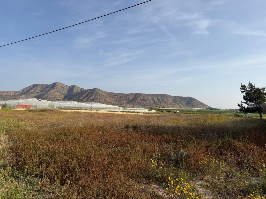 Land in Torre Pacheco, Región de Murcia, Spain 1 - 17802492