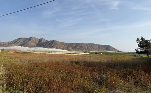 Land in Torre-Pacheco, Murcia, Spanien 1