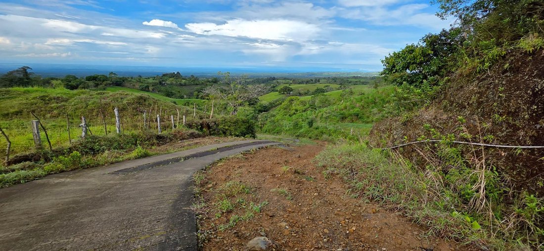 Finca in Guayabal, Chiriquí Province, Panama 4 - 17802376