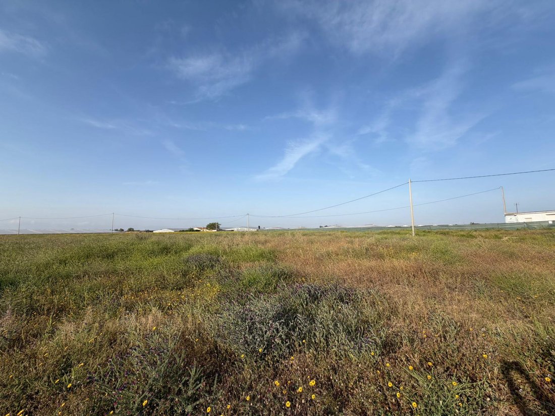 Land in Torre Pacheco, Región de Murcia, Spain 2 - 17802492