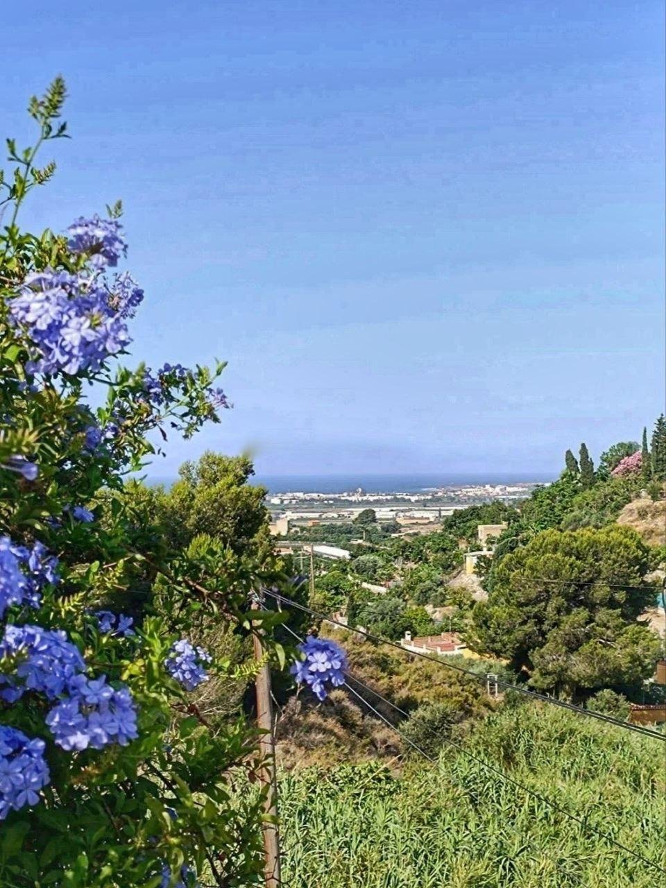 Motril, Andalusia, Spain 3 - 17802607
