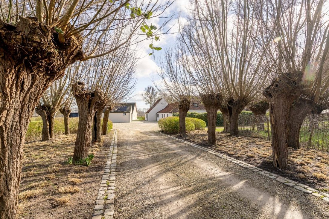 Villa in Damme, Flanders, Belgium 2 - 17803446