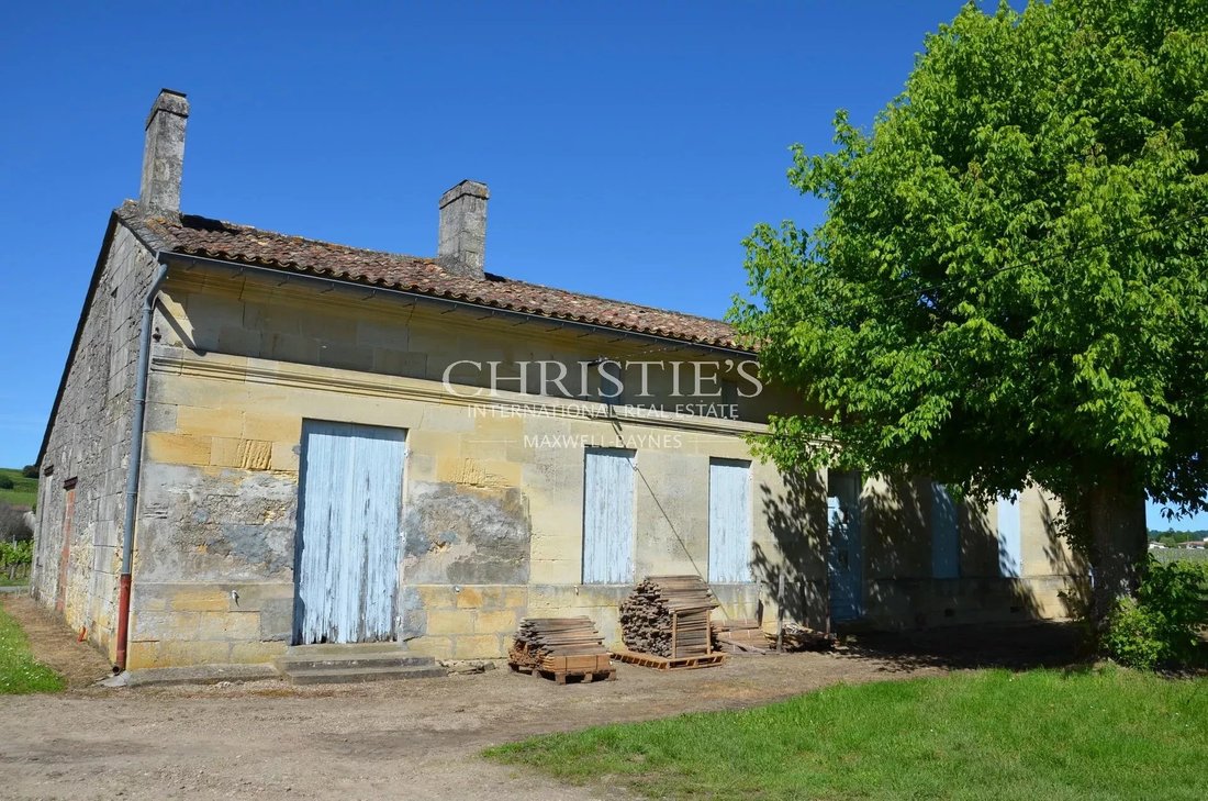 Farm Ranch in Saint-Émilion, Nouvelle-Aquitaine, France 1 - 15913733