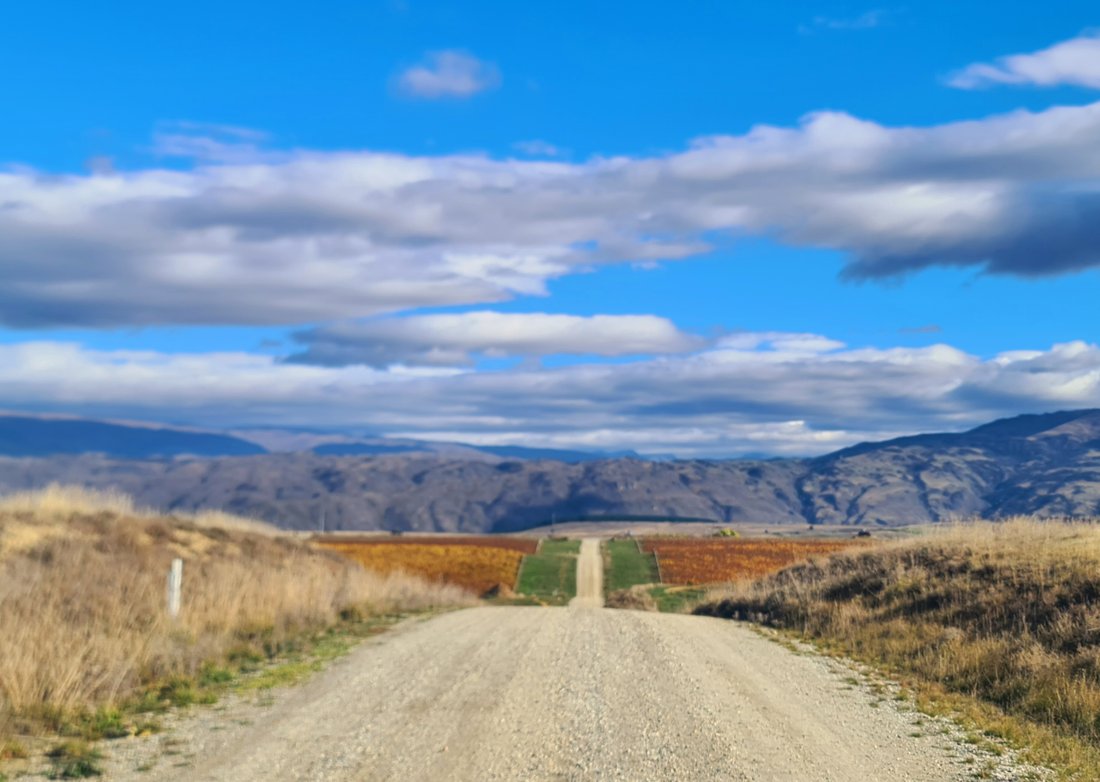 Land in Alexandra, Otago, New Zealand 4 - 17802901