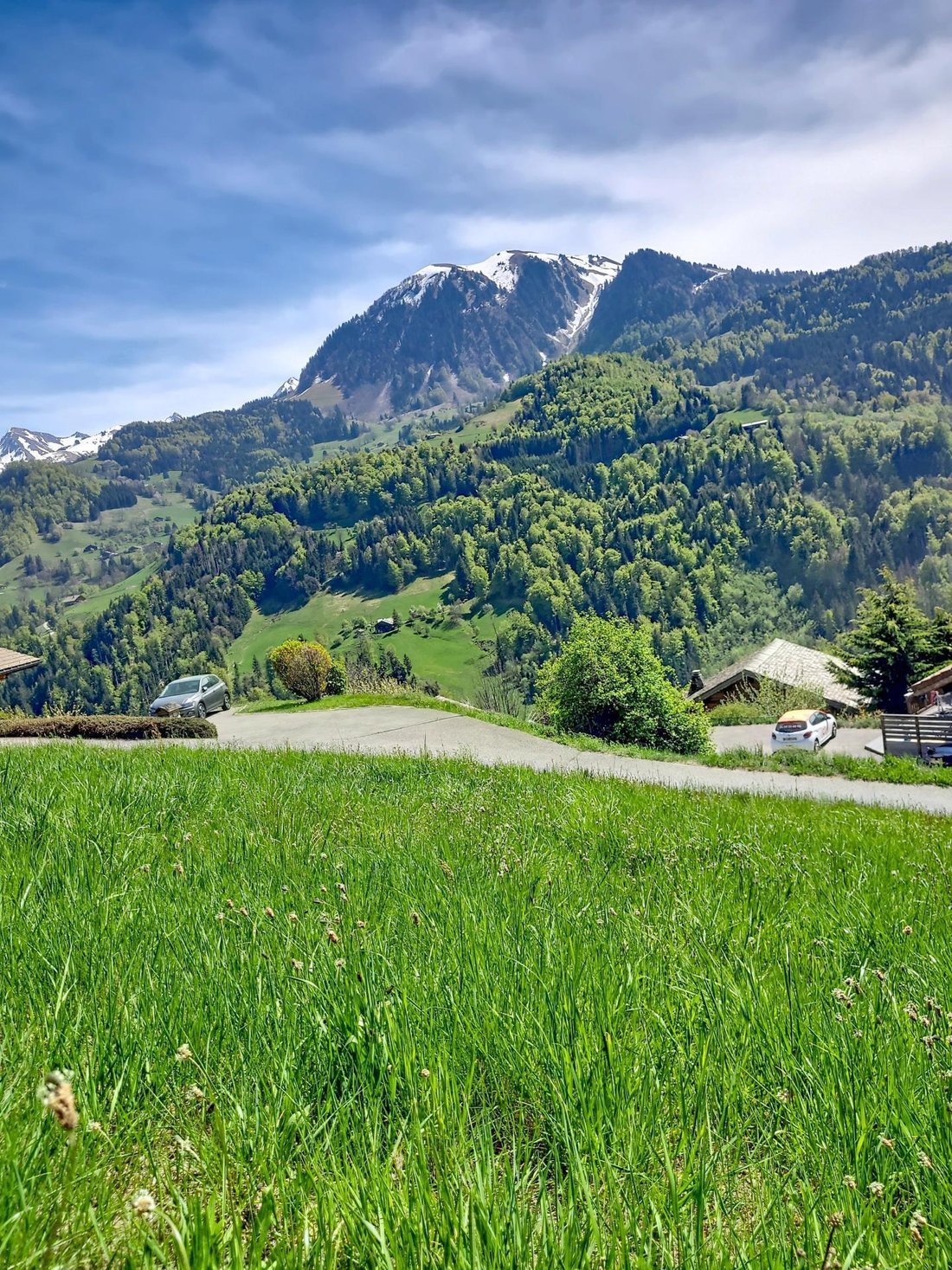 Land in Manigod, Auvergne-Rhône-Alpes, France 4 - 17804390