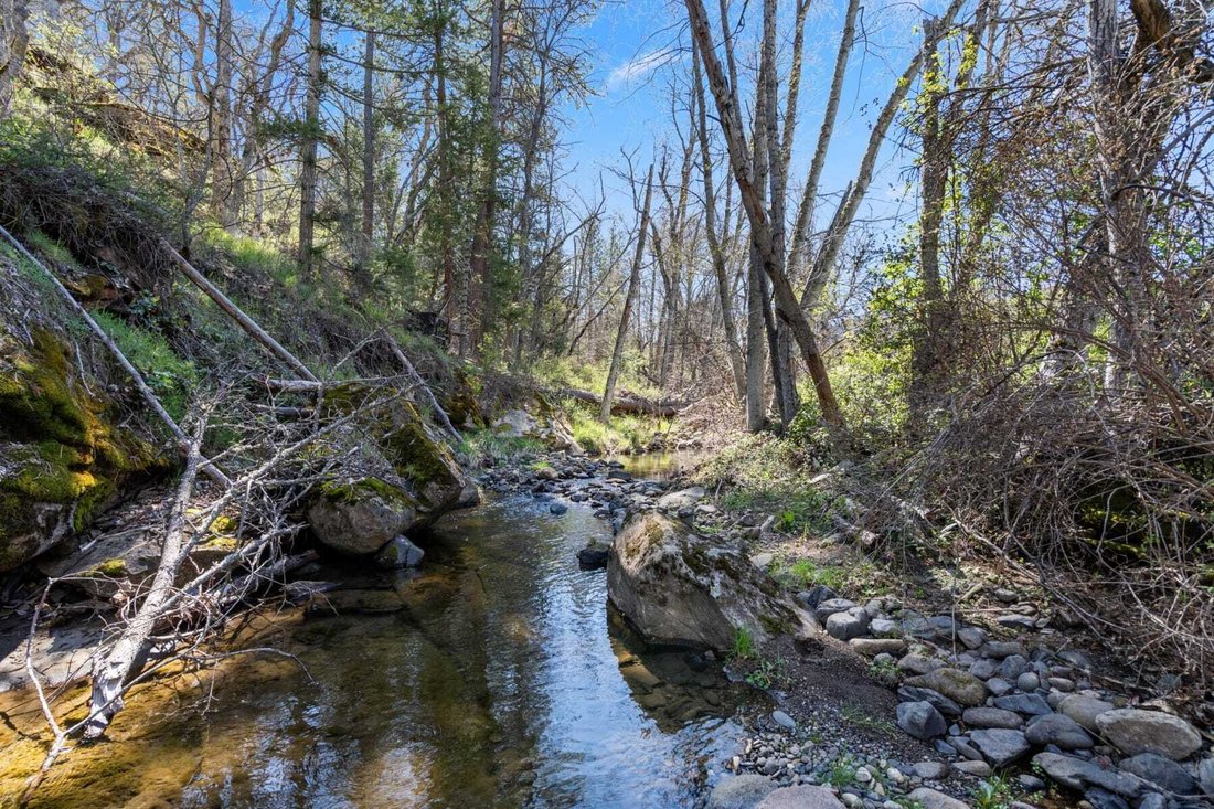 Land in Ashland, Oregon, United States 5 - 17802893