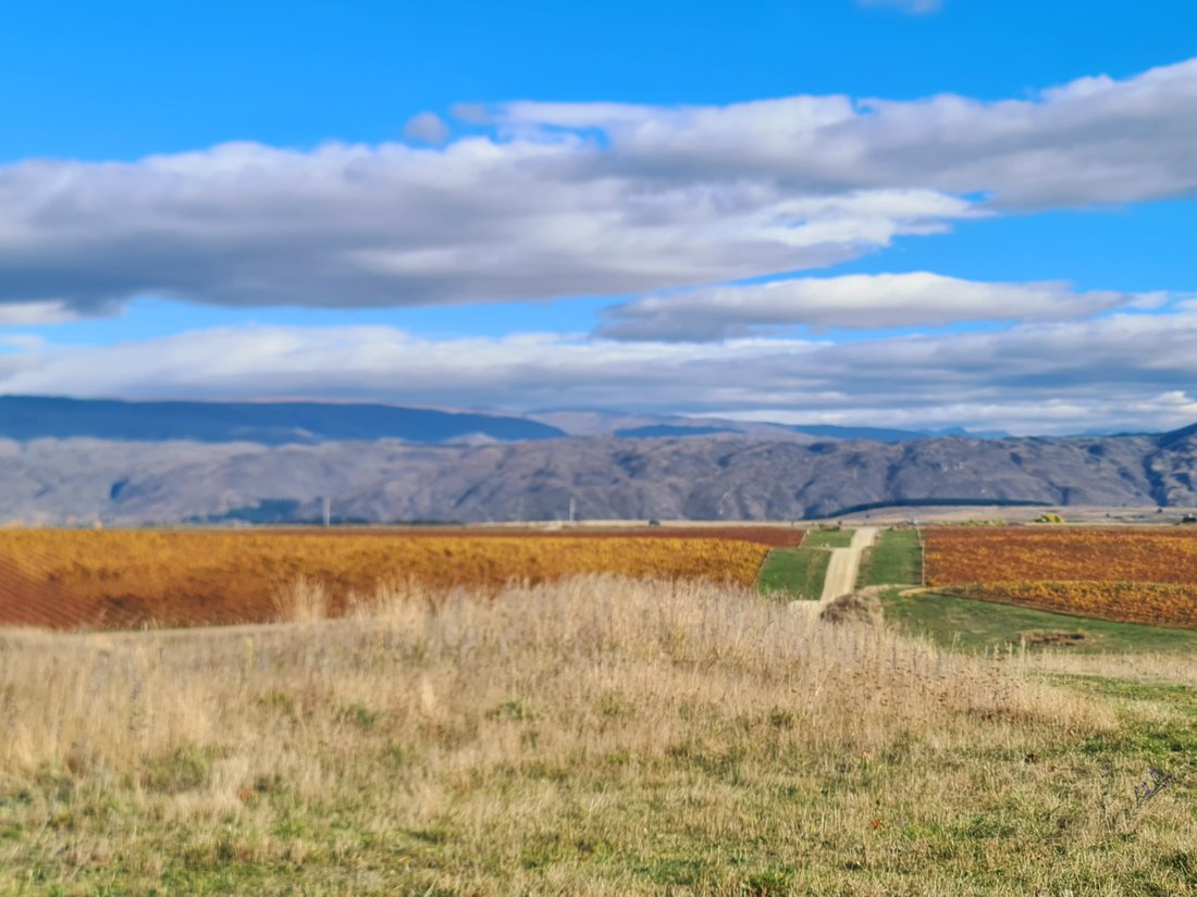 Land in Alexandra, Otago, New Zealand 5 - 17802901