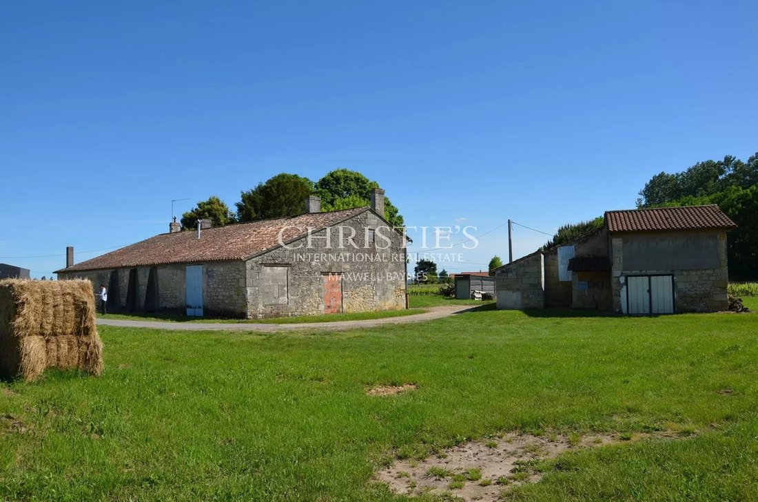 Farm Ranch in Saint-Émilion, Nouvelle-Aquitaine, France 4 - 15913733