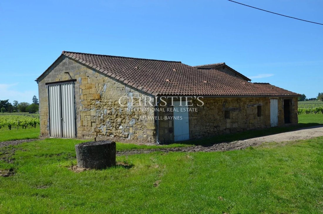 Farm Ranch in Saint-Émilion, Nouvelle-Aquitaine, France 3 - 15913733