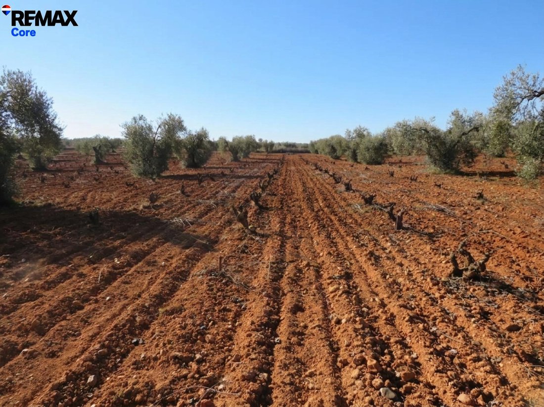 Terrain à La Zarza, Estrémadure, Espagne 5 - 17803070