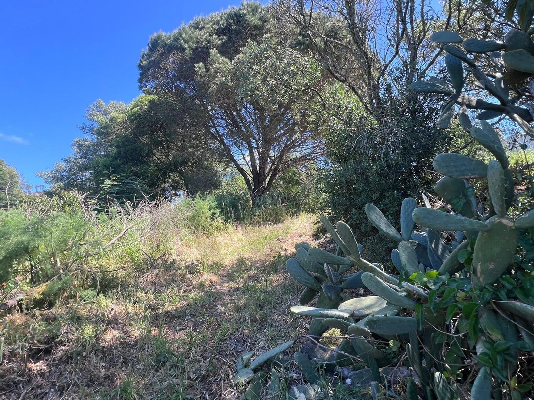 Land in Alcabideche, Lisbon, Portugal 5 - 17802983