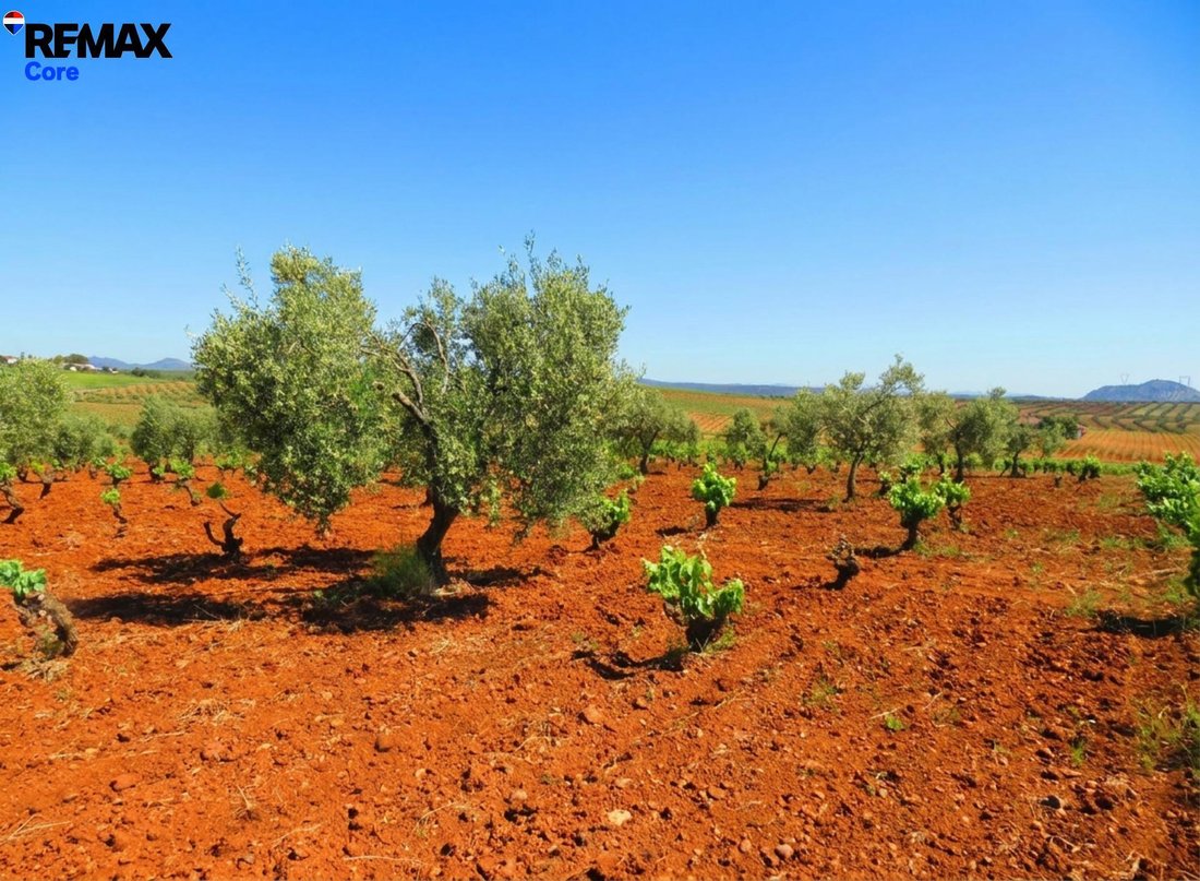 Terrain à La Zarza, Estrémadure, Espagne 4 - 17803070