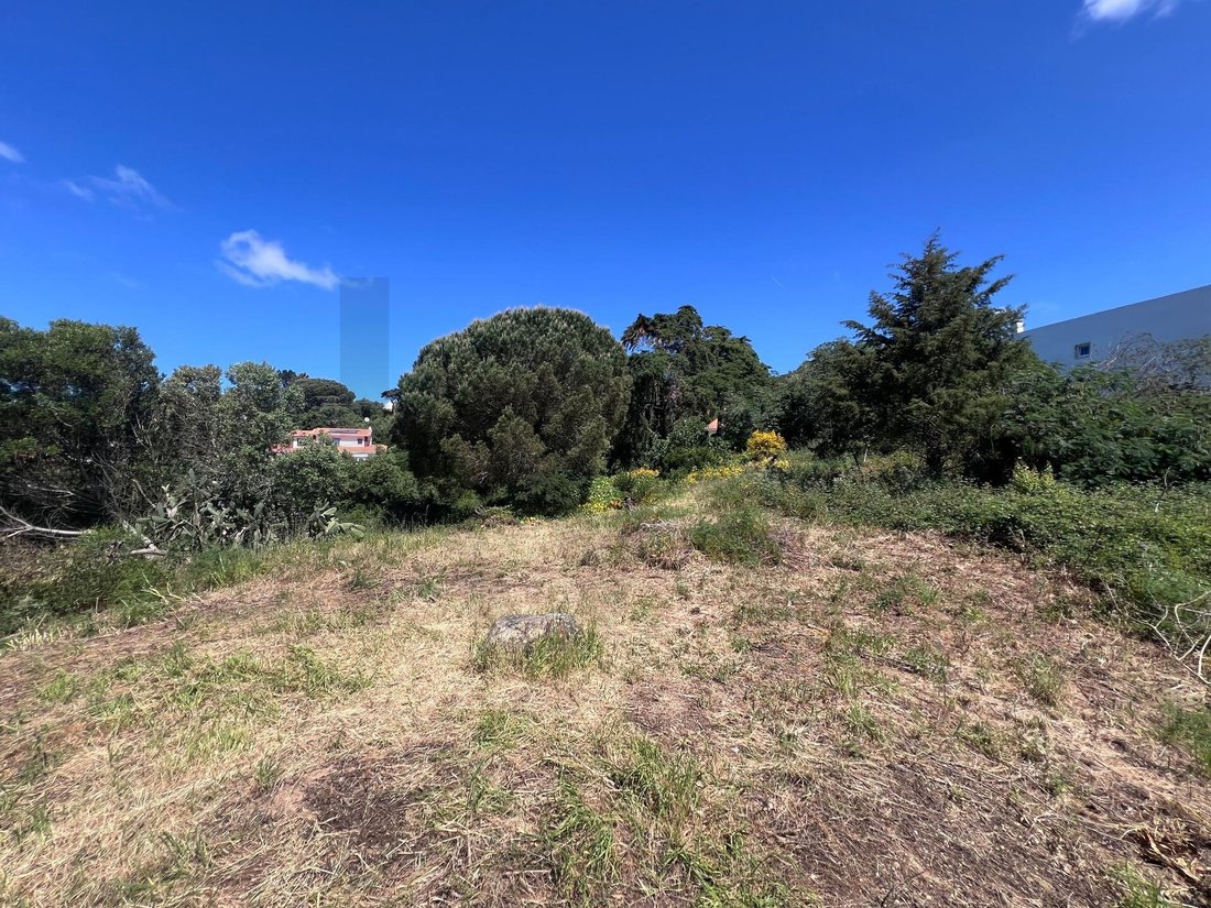 Land in Alcabideche, Lisbon, Portugal 2 - 17802983