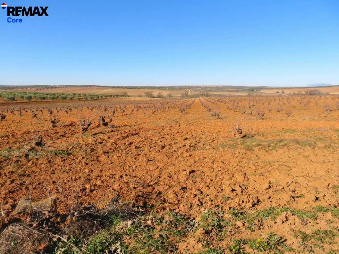 Terrain à La Zarza, Estrémadure, Espagne 3 - 17803070