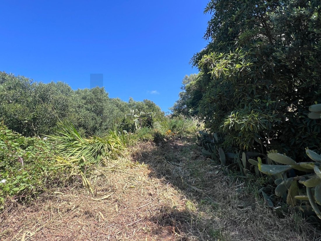 Land in Alcabideche, Lisbon, Portugal 4 - 17802983
