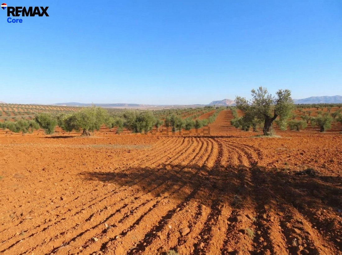 Terrain à La Zarza, Estrémadure, Espagne 1 - 17803070