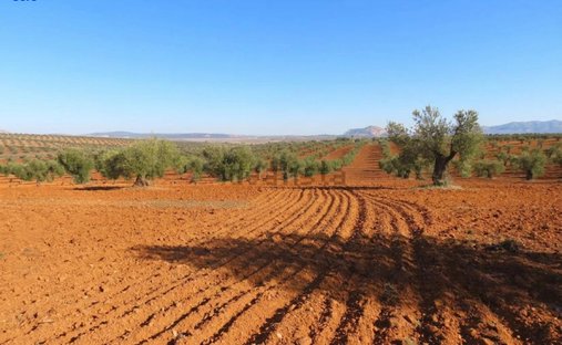 Terrain à La Zarza, Estrémadure, Espagne 1