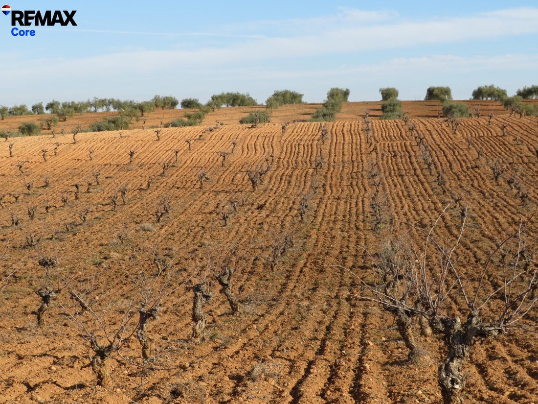 Terrain à La Zarza, Estrémadure, Espagne 2 - 17803070