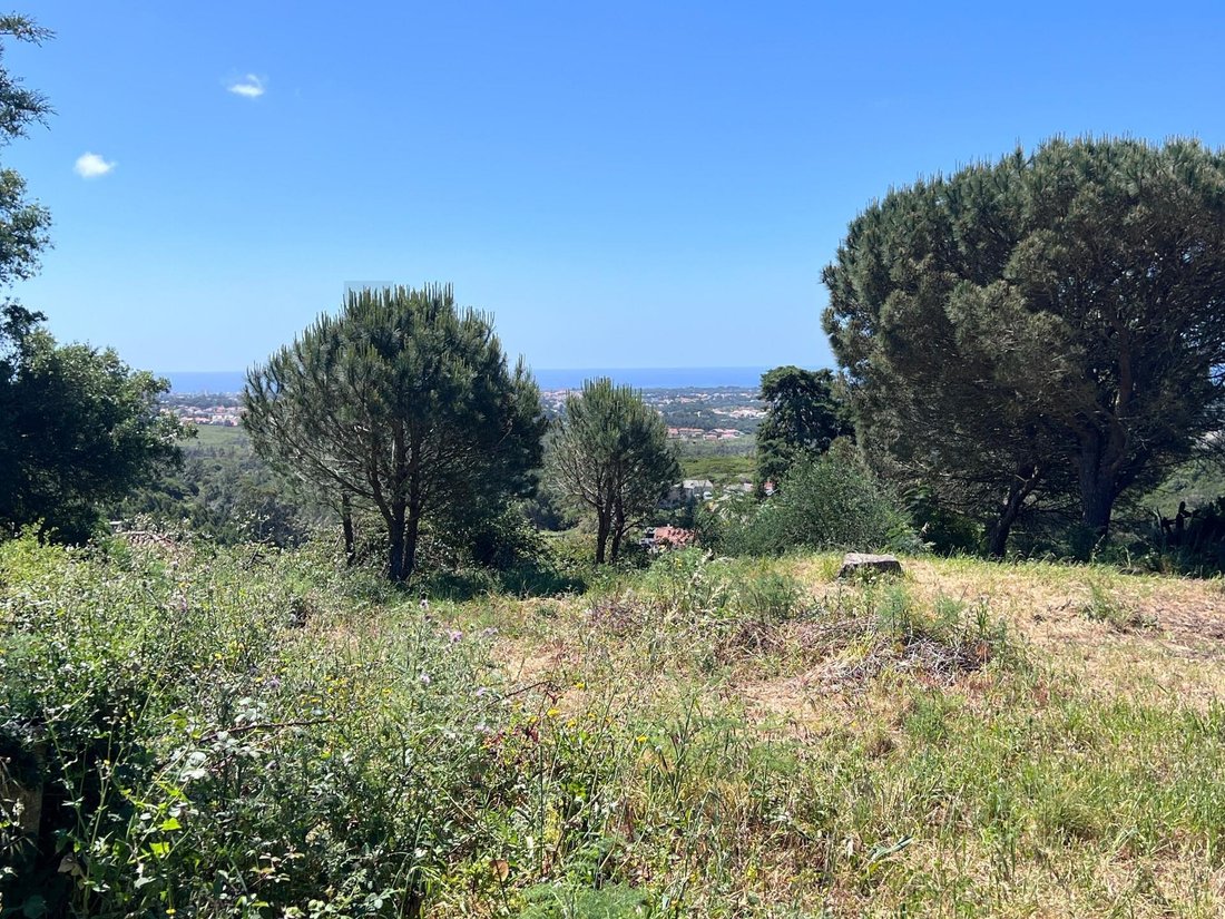 Land in Alcabideche, Lisbon, Portugal 1 - 17802983