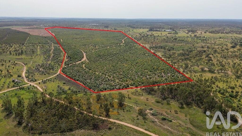 Terreno a Achete, Azoia de Baixo e Povoa de Santarem, Distretto di Santarém, Portogallo 2 - 17803967