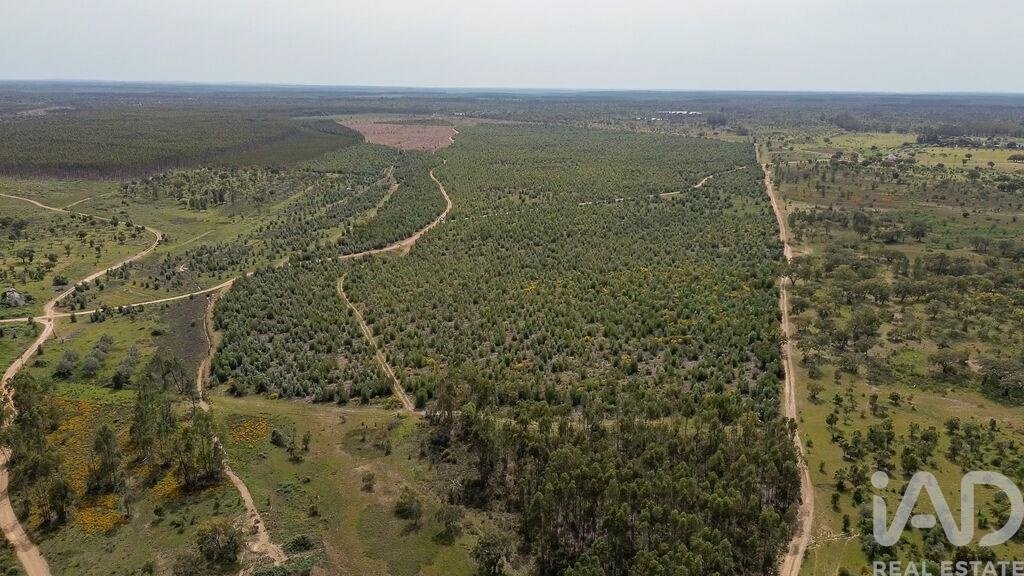 Terreno a Achete, Azoia de Baixo e Povoa de Santarem, Distretto di Santarém, Portogallo 5 - 17803967