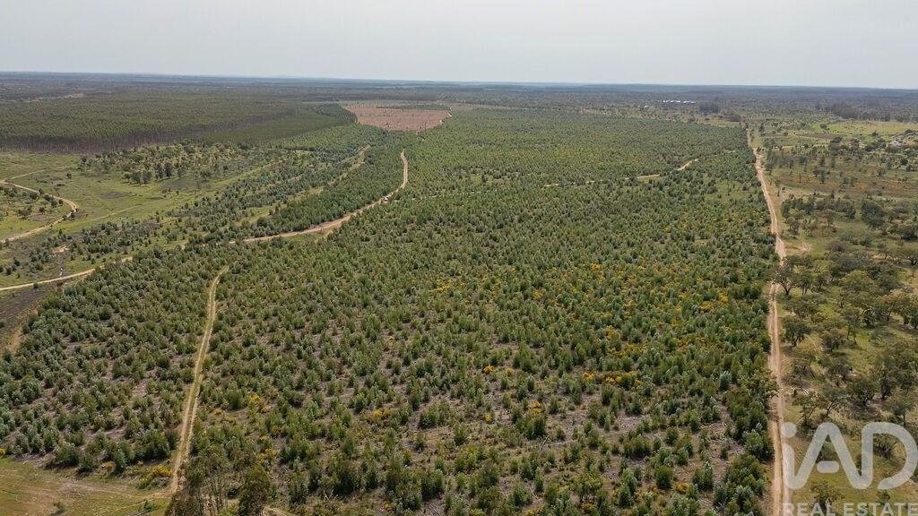 Terreno a Achete, Azoia de Baixo e Povoa de Santarem, Distretto di Santarém, Portogallo 3 - 17803967