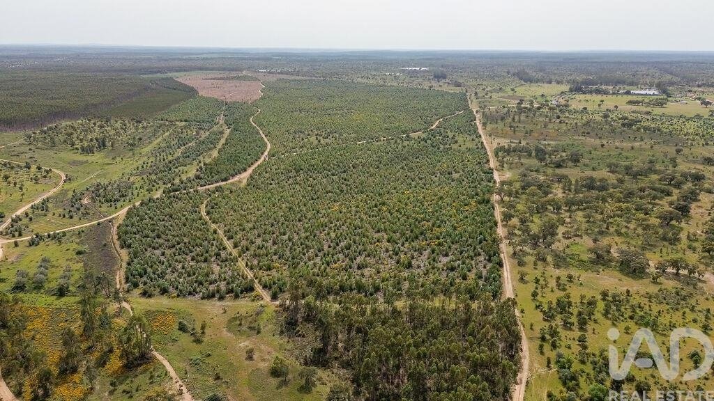 Terreno a Achete, Azoia de Baixo e Povoa de Santarem, Distretto di Santarém, Portogallo 1 - 17803967