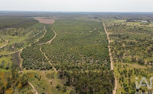 Terreno a Achete, Azoia de Baixo e Povoa de Santarem, Distretto di Santarém, Portogallo 1