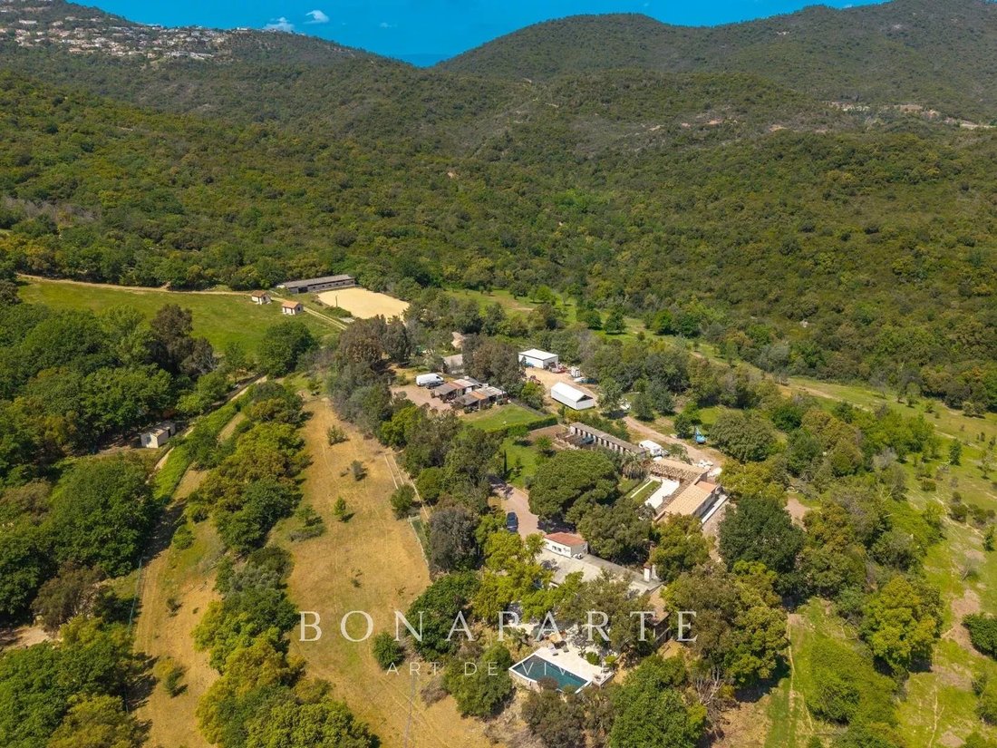 Estate in Les Adrets-de-l'Estérel, Provence-Alpes-Côte d'Azur, France 3 - 17803986