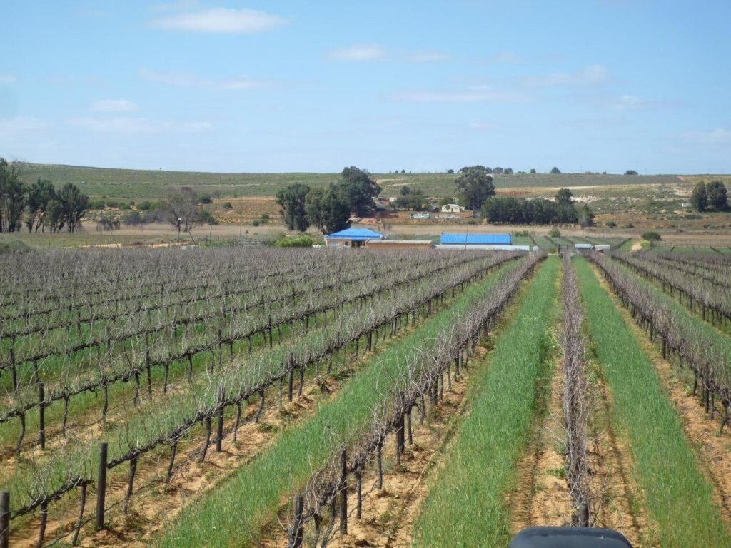 Farm Ranch in Lutzville, Western Cape, South Africa 1 - 17803999