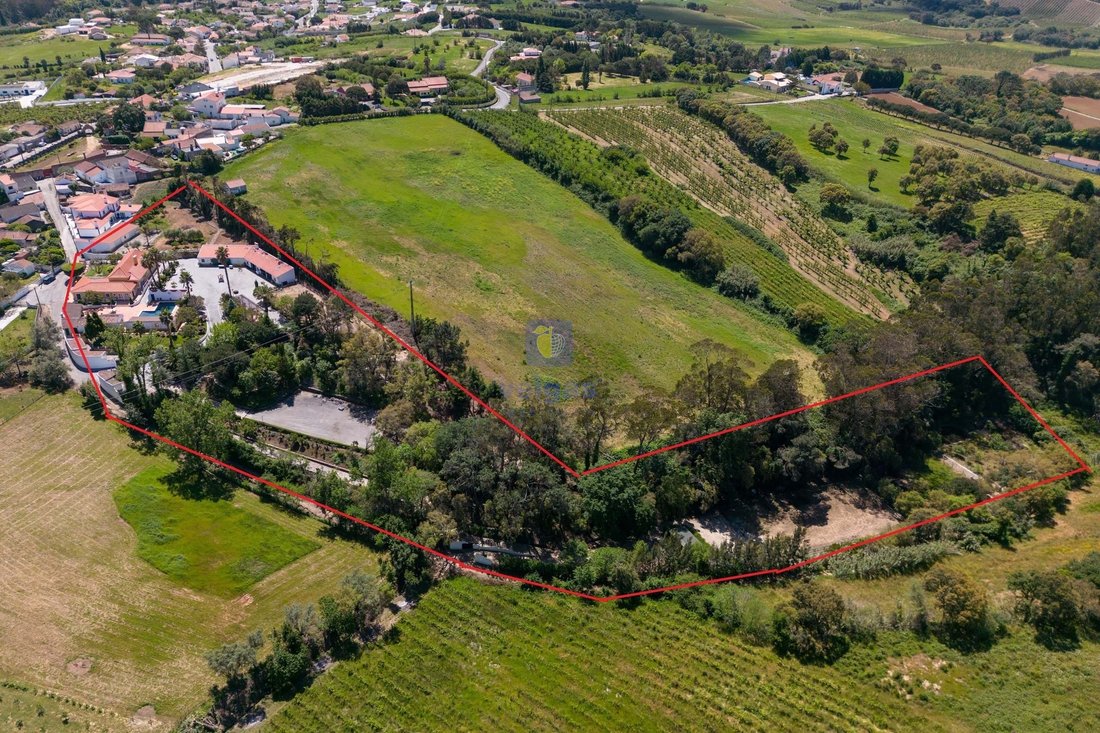 Azienda agricola a Carvalhal, Distretto di Leiria, Portogallo 4 - 17804265