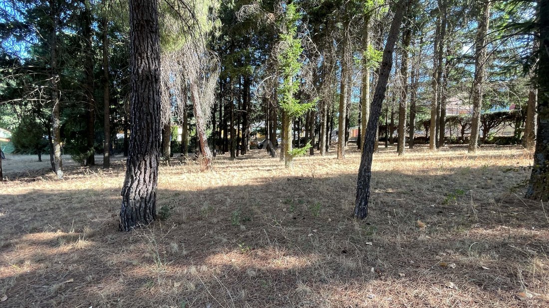 Land in Robledo de Chavela, Comunidad de Madrid, Spain 5 - 17804446