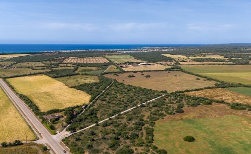 Terreno a Campos, Isole Baleari, Spagna 1