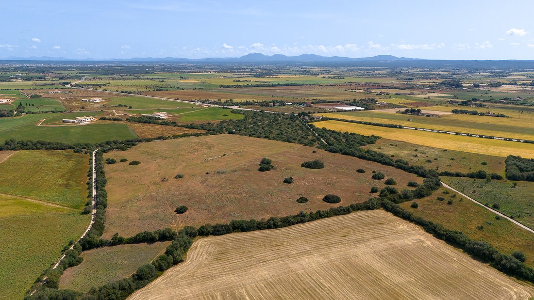 Land in Campos, Balearic Islands, Spain 5 - 17804429