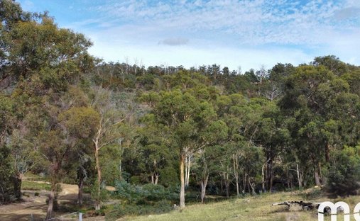 Haus in Molesworth, Tasmanien, Australien 1