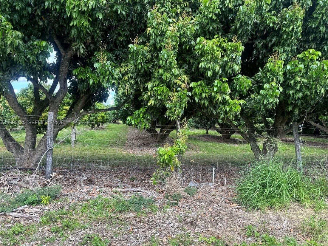 Land in Homestead, Florida, United States 4 - 17805740