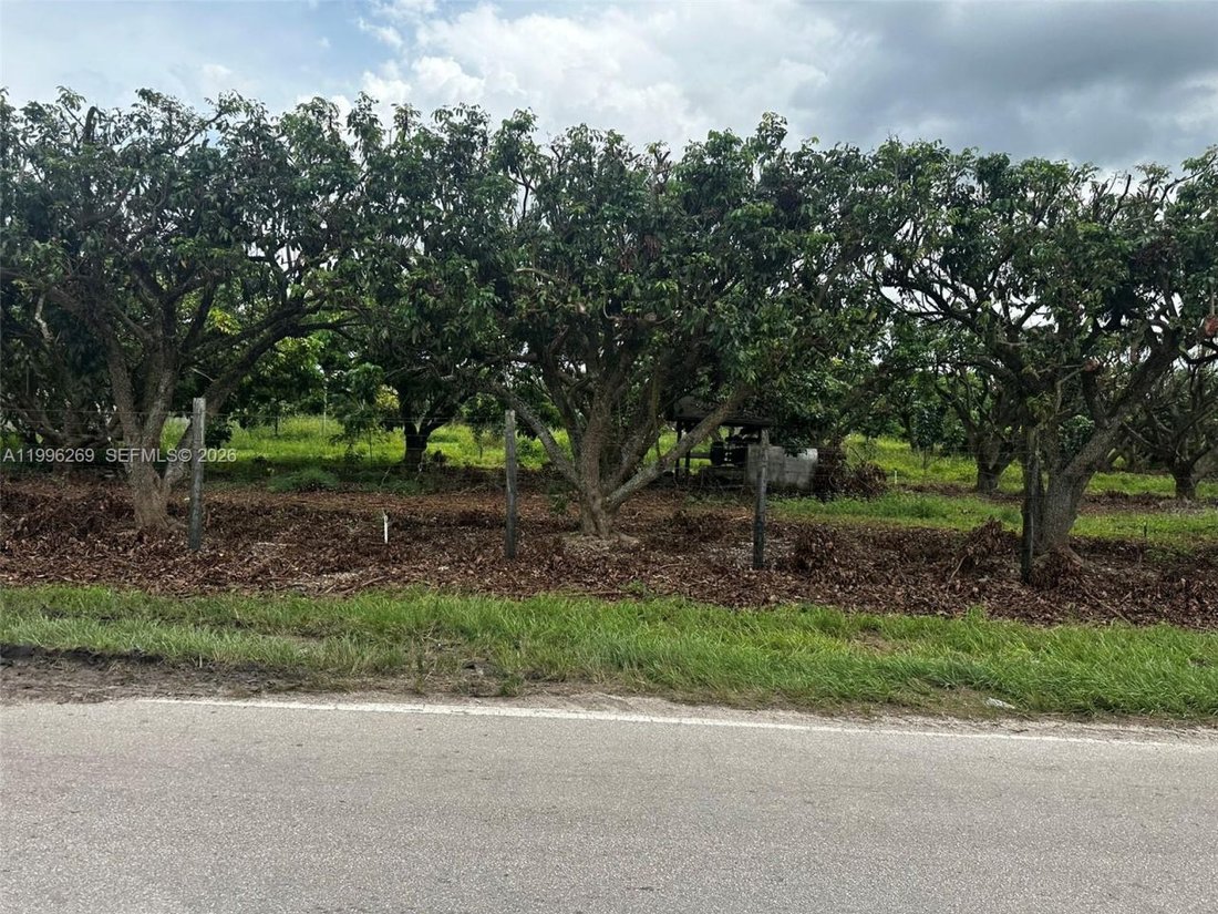 Land in Homestead, Florida, United States 2 - 17805769