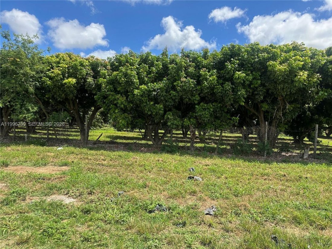 Land in Homestead, Florida, United States 3 - 17805758