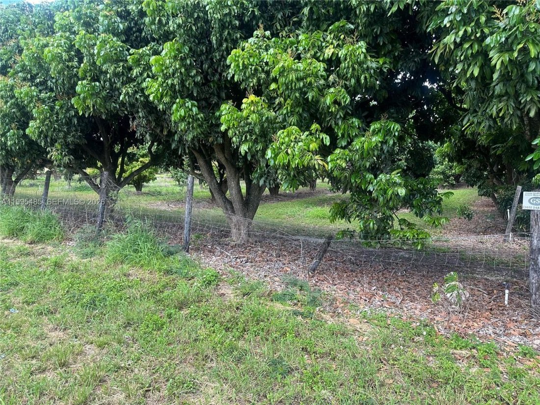 Land in Homestead, Florida, United States 3 - 17805740