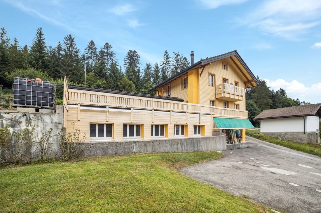 Detached House In Green Surroundings!