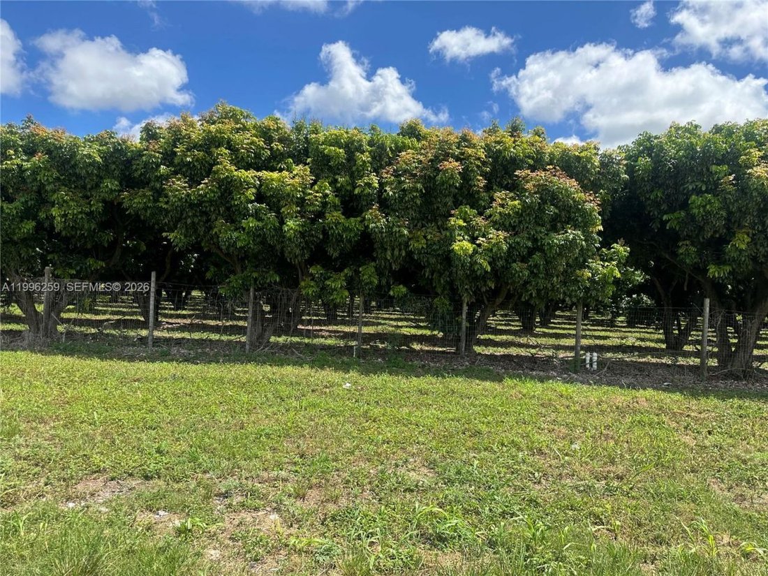 Land in Homestead, Florida, United States 4 - 17805758