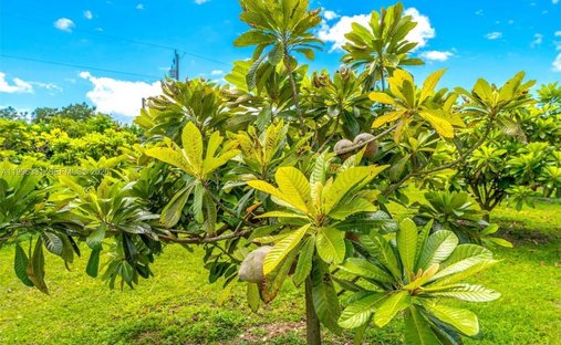 Land in Miami, Florida, United States 1