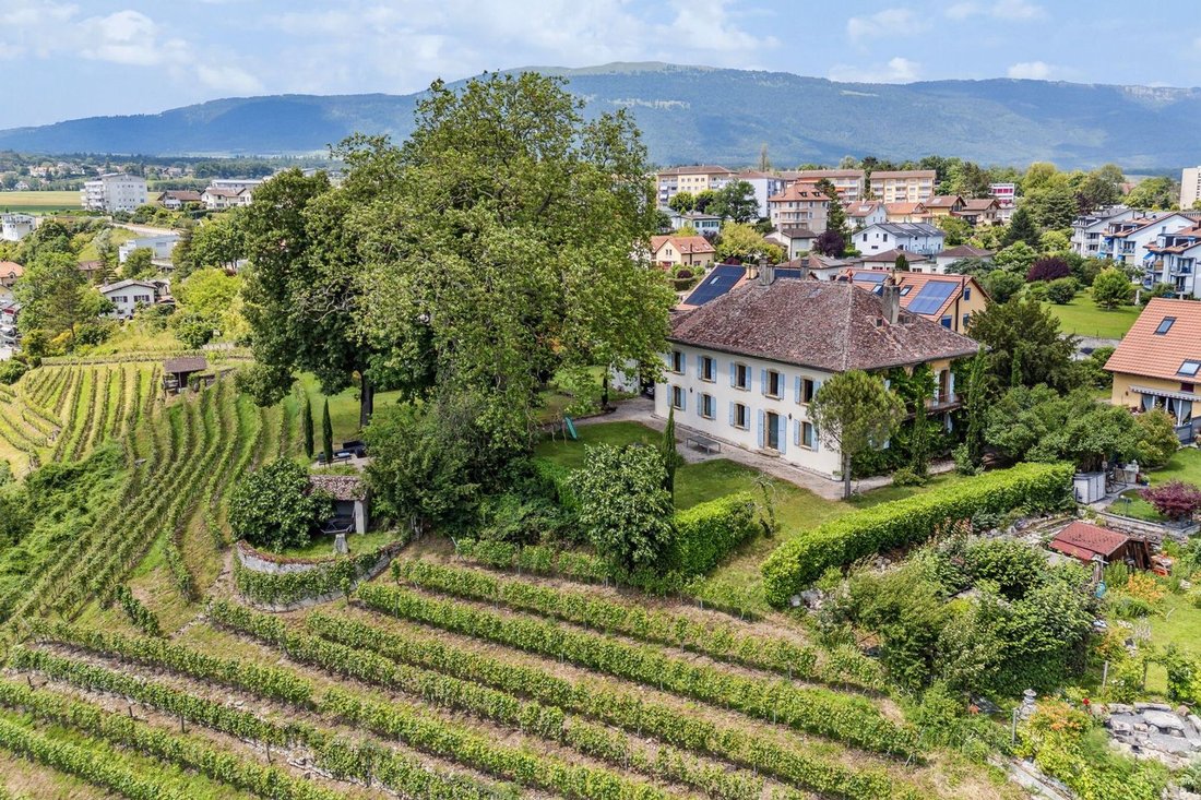 Haus in Orbe, Waadt, Schweiz 4 - 17805445